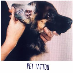 Pet Tat’s Lifetime Membership