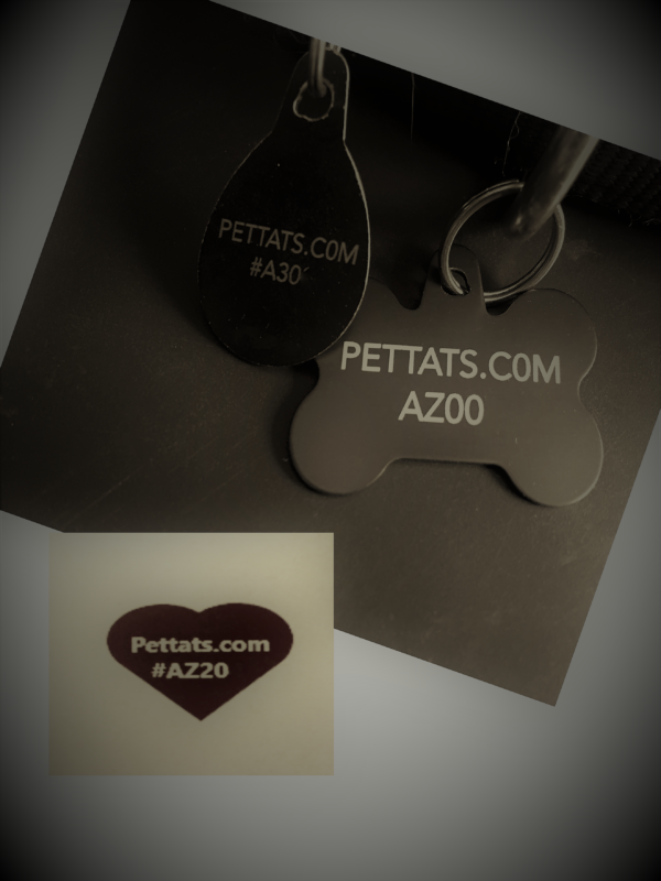 Pet Tat's- PETTATS Metal Tag ID with Temporary Tattoo set (black bone shape)