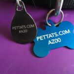 pet tat collar sample pic